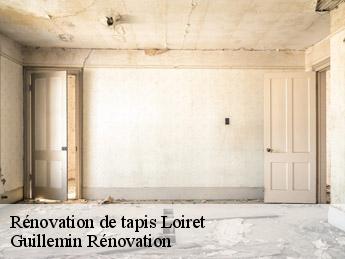 Rénovation de tapis 45 Loiret  Guillemin Rénovation 