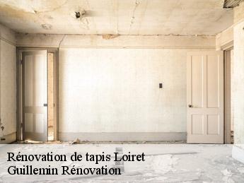 Rénovation de tapis 45 Loiret Guillemin Rénovation