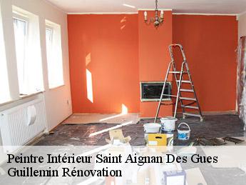 Peintre Intérieur  saint-aignan-des-gues-45460 Guillemin Rénovation 