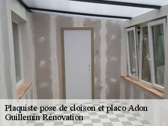 Plaquiste pose de cloison et placo  adon-45230 Guillemin Rénovation 