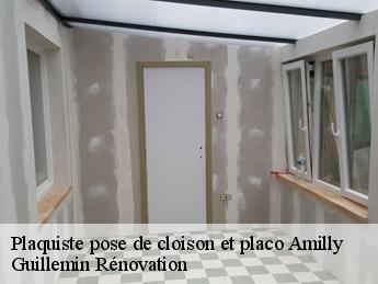 Plaquiste pose de cloison et placo  amilly-45200 Guillemin Rénovation 