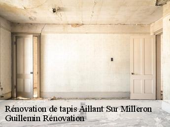Rénovation de tapis  aillant-sur-milleron-45230 Guillemin Rénovation 