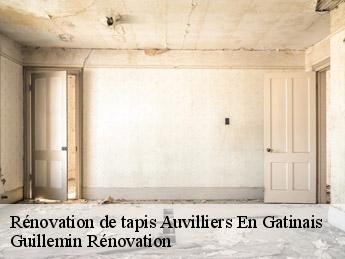 Rénovation de tapis auvilliers-en-gatinais-45270 Guillemin Rénovation