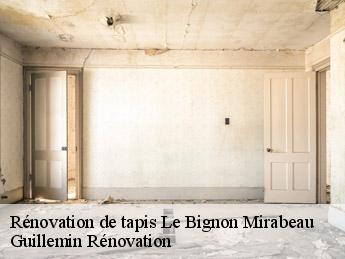 Rénovation de tapis  le-bignon-mirabeau-45210 Guillemin Rénovation 