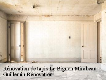 Rénovation de tapis le-bignon-mirabeau-45210 Guillemin Rénovation