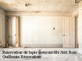 Rénovation de tapis bouzonville-aux-bois-45300 Guillemin Rénovation