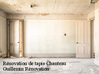 Rénovation de tapis chanteau-45400 Guillemin Rénovation