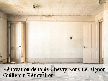 Rénovation de tapis chevry-sous-le-bignon-45210 Guillemin Rénovation
