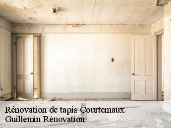 Rénovation de tapis  courtemaux-45320 Guillemin Rénovation 