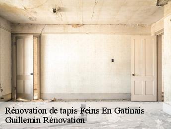 Rénovation de tapis  feins-en-gatinais-45230 Guillemin Rénovation 
