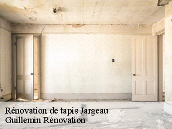 Rénovation de tapis jargeau-45150 Guillemin Rénovation
