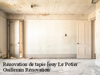 Rénovation de tapis  jouy-le-potier-45370 Guillemin Rénovation 