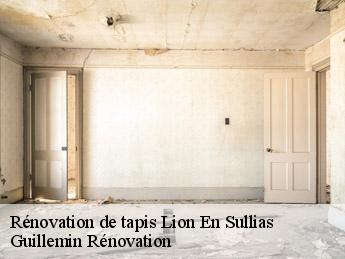Rénovation de tapis  lion-en-sullias-45600 Guillemin Rénovation 