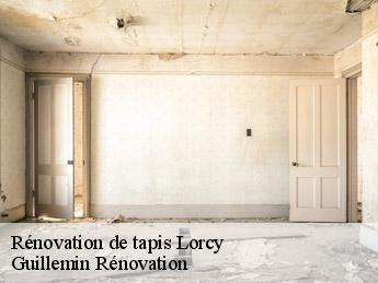 Rénovation de tapis  lorcy-45490 Guillemin Rénovation 