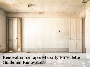 Rénovation de tapis  marcilly-en-villette-45240 Guillemin Rénovation 