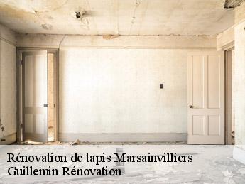 Rénovation de tapis marsainvilliers-45300 Guillemin Rénovation