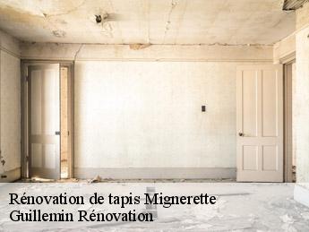 Rénovation de tapis  mignerette-45490 Guillemin Rénovation 