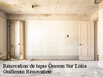 Rénovation de tapis  ousson-sur-loire-45250 Guillemin Rénovation 