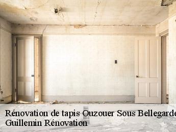 Rénovation de tapis  ouzouer-sous-bellegarde-45270 Guillemin Rénovation 