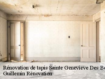 Rénovation de tapis  sainte-genevieve-des-bois-45230 Guillemin Rénovation 