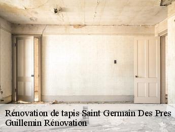 Rénovation de tapis  saint-germain-des-pres-45220 Guillemin Rénovation 