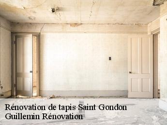 Rénovation de tapis saint-gondon-45500 Guillemin Rénovation