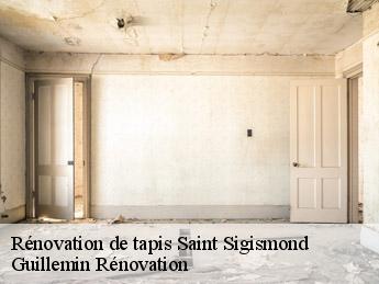 Rénovation de tapis  saint-sigismond-45310 Guillemin Rénovation 