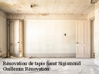 Rénovation de tapis saint-sigismond-45310 Guillemin Rénovation