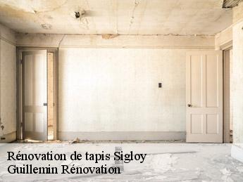 Rénovation de tapis  sigloy-45110 Guillemin Rénovation 