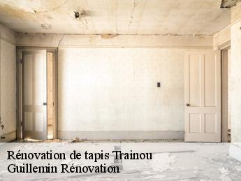 Rénovation de tapis  trainou-45470 Guillemin Rénovation 
