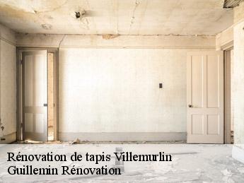 Rénovation de tapis villemurlin-45600 Guillemin Rénovation