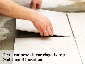 Carreleur pose de carrelage  lorris-45260 Guillemin Rénovation 