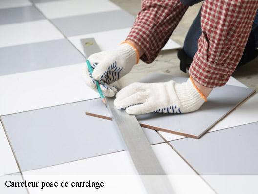 Carreleur pose de carrelage