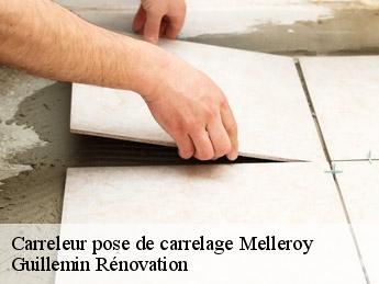 Carreleur pose de carrelage melleroy-45220 Guillemin Rénovation