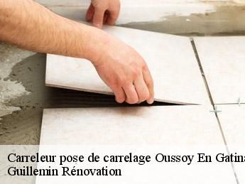 Carreleur pose de carrelage  oussoy-en-gatinais-45290 Guillemin Rénovation 