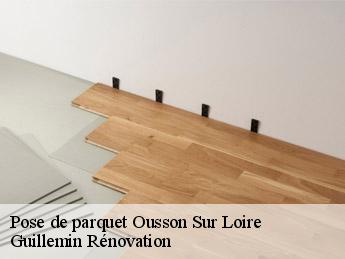 Pose de parquet  ousson-sur-loire-45250 Guillemin Rénovation 