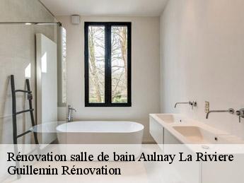 Rénovation salle de bain  aulnay-la-riviere-45390 Guillemin Rénovation 