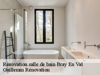 Rénovation salle de bain  bray-en-val-45460 Guillemin Rénovation 