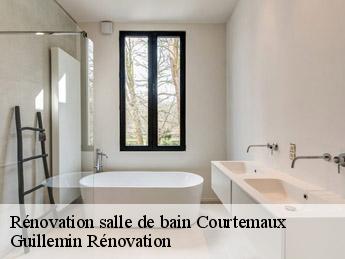 Rénovation salle de bain  courtemaux-45320 Guillemin Rénovation 