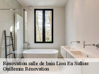 Rénovation salle de bain  lion-en-sullias-45600 Guillemin Rénovation 