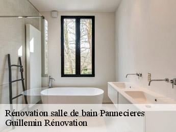 Rénovation salle de bain  pannecieres-45300 Guillemin Rénovation 