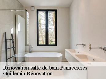 Rénovation salle de bain pannecieres-45300 Guillemin Rénovation