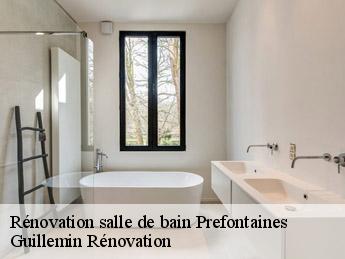 Rénovation salle de bain  prefontaines-45490 Guillemin Rénovation 