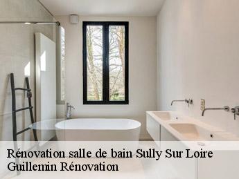 Rénovation salle de bain  sully-sur-loire-45600 Guillemin Rénovation 
