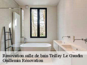 Rénovation salle de bain  teillay-le-gaudin-45480 Guillemin Rénovation 