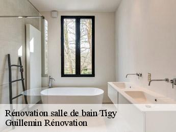 Rénovation salle de bain tigy-45510 Guillemin Rénovation