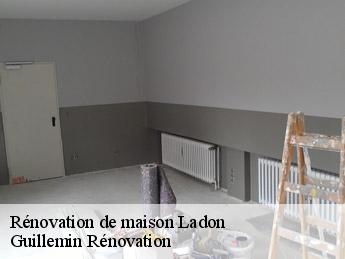 Rénovation de maison ladon-45270 Guillemin Rénovation