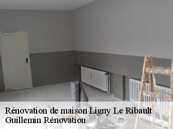 Rénovation de maison  ligny-le-ribault-45240 Guillemin Rénovation 