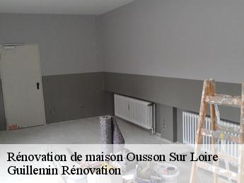 Rénovation de maison  ousson-sur-loire-45250 Guillemin Rénovation 