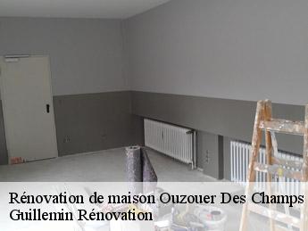 Rénovation de maison  ouzouer-des-champs-45290 Guillemin Rénovation 
